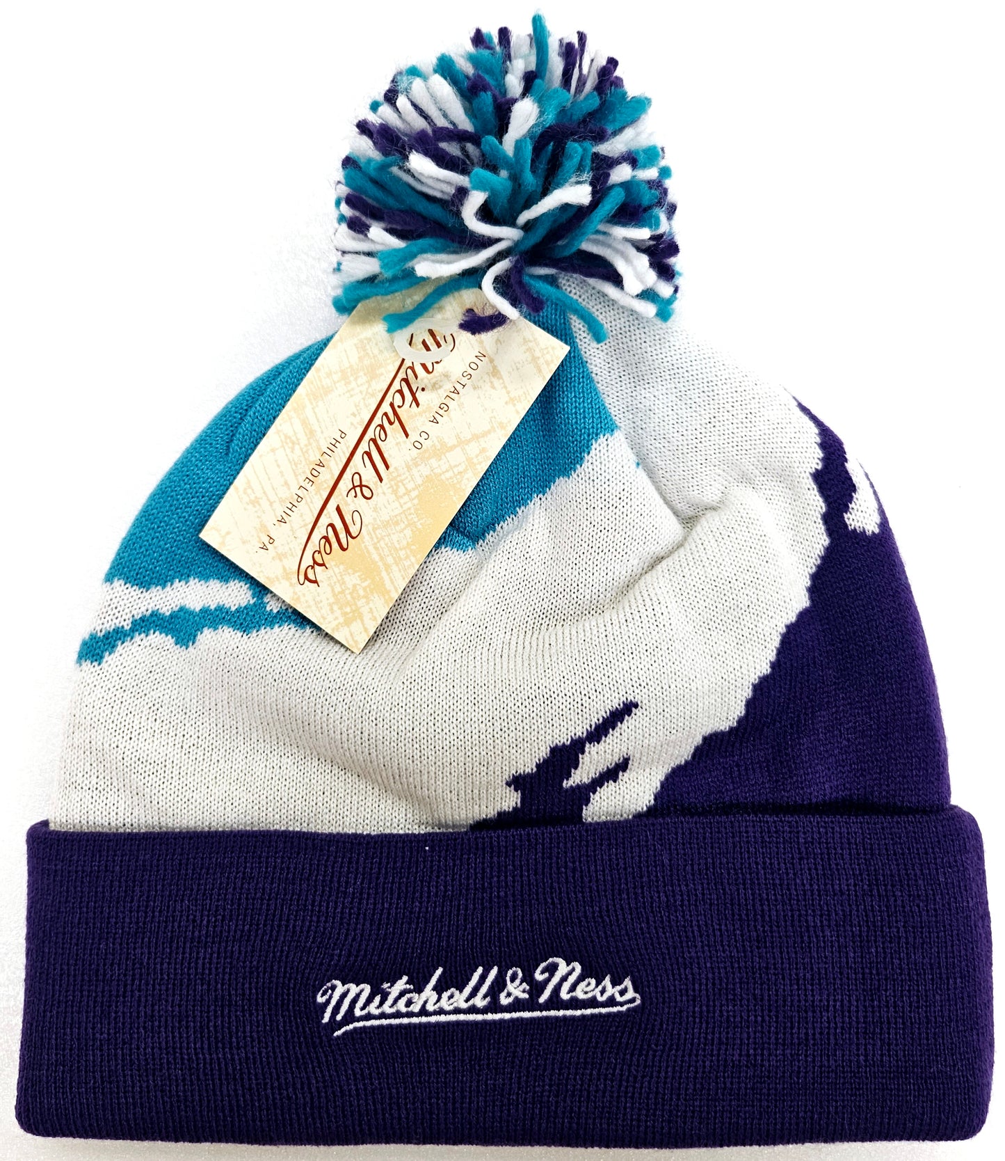 Charlotte Hornets NBA Premium Pom Knit Hat